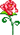 泡ѫ